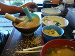 DSC03857.JPG