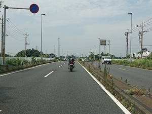 DSC_0237.JPG