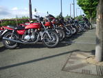 z6501.jpg