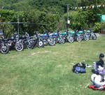 z6503.jpg