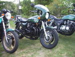 z6504.jpg
