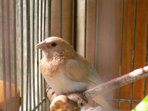 image-20130614205824.png